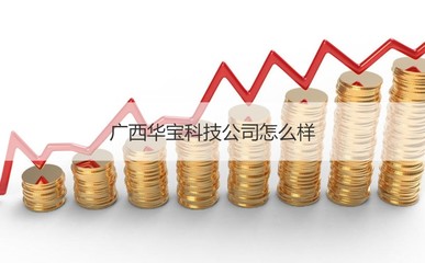 廣西華寶科技公司概況與計算機網絡科技領域發展前瞻